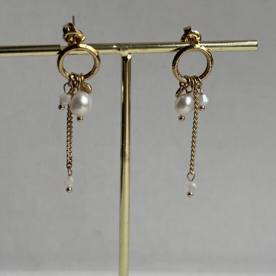 Auskari ar piekariņiem